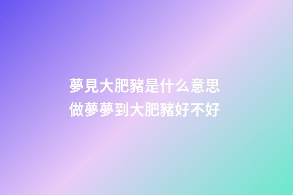 夢見大肥豬是什么意思 做夢夢到大肥豬好不好